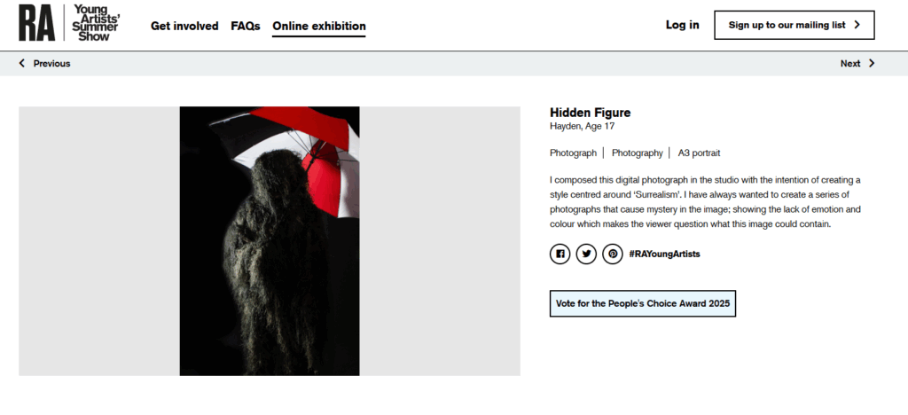 A picture of Hayden's artwork online at the exhibition